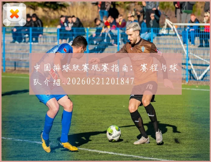 中国排球联赛观赛指南：赛程与球队介绍_20260521201847