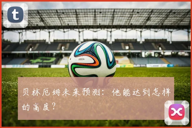贝林厄姆未来预测：他能达到怎样的高度？